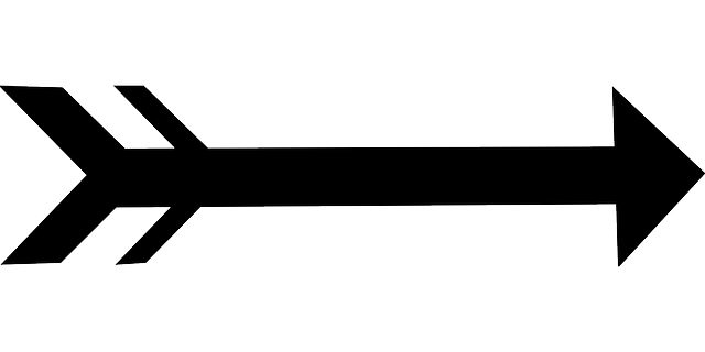 الفهد (مدرعة) 